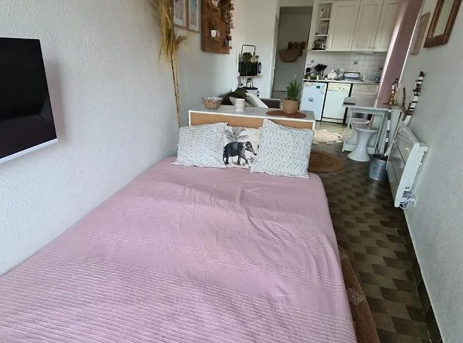 Апартаменты Le Coeur Des Sables Ле-Гро-д'Агд